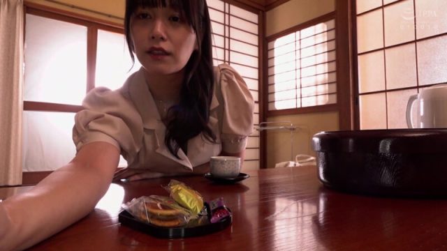 これで最後…と決めた2人の不倫温泉旅行 紺野ひかる